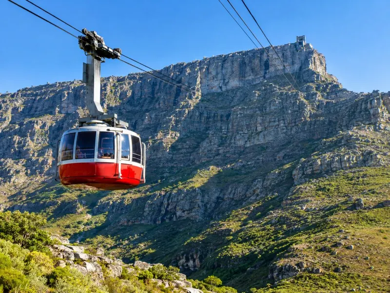 Table Mountain, Penguins & Cape Point
